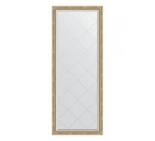 Зеркало напольное с гравировкой  EVOFORM  в багетной раме состаренное серебро с плетением, 78х198 см, BY 6302