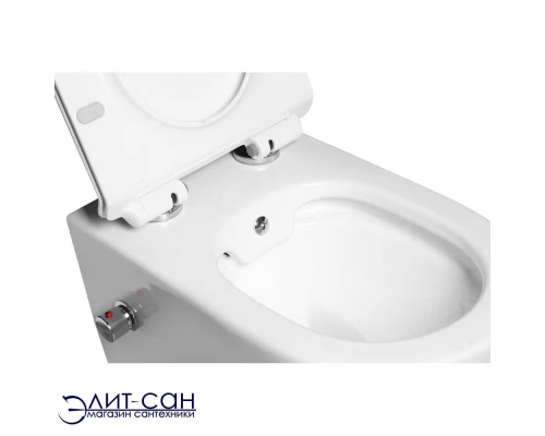 Унитаз подвесной SantiLine SL-5002SM-BD с функцией биде и смесителем