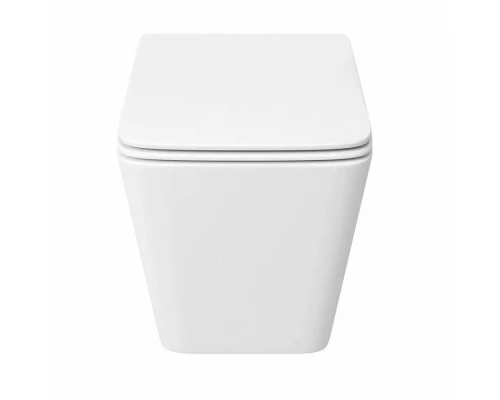 Унитаз подвесной торнадо ES.M Typhoon-SQ  40303ES-49 безободковый  сиденье микролифт