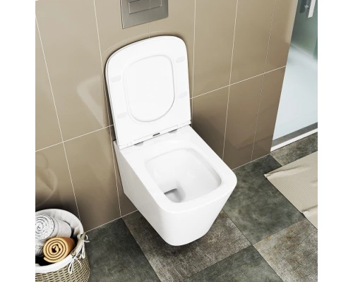 Унитаз подвесной торнадо ES.M Typhoon-SQ  40303ES-49 безободковый  сиденье микролифт