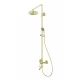 Душевая система WONZON & WOGHAND STEAM, Брашированное золото (WW-88739008-BG)