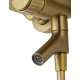 Смеситель для ванны с душем WONZON & WOGHAND CLICK, Брашированное золото (WW-FE05L221- BG)