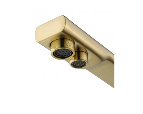 Смеситель для кухни c подключением фильтра WONZON & WOGHAND, Брашированное золото (WW-88458004-BG)