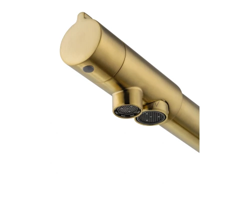 Смеситель для кухни c подключением фильтра WONZON & WOGHAND, Брашированное золото (WW-88458008-BG)