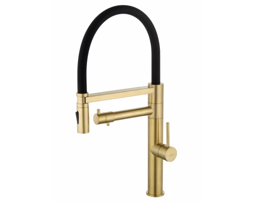Смеситель для кухни с гибким изливом и подключением фильтра WONZON & WOGHAND, Брашированное золото (WW-88458007-BG)