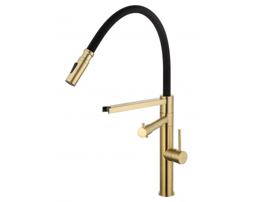 Смеситель для кухни с гибким изливом и подключением фильтра WONZON & WOGHAND, Брашированное золото (WW-88458007-BG)