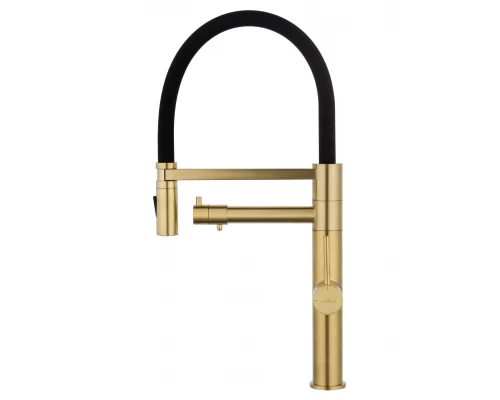 Смеситель для кухни с гибким изливом и подключением фильтра WONZON & WOGHAND, Брашированное золото (WW-88458007-BG)