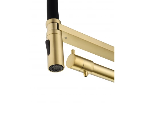 Смеситель для кухни с гибким изливом и подключением фильтра WONZON & WOGHAND, Брашированное золото (WW-88458007-BG)