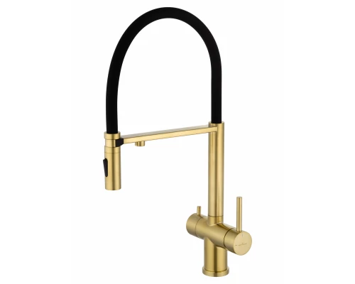 Смеситель для кухни с гибким изливом и подключением фильтра WONZON & WOGHAND, Брашированное золото (WW-88458009-BG)