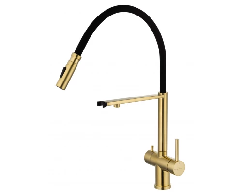 Смеситель для кухни с гибким изливом и подключением фильтра WONZON & WOGHAND, Брашированное золото (WW-88458009-BG)