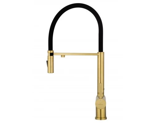 Смеситель для кухни с гибким изливом и подключением фильтра WONZON & WOGHAND, Брашированное золото (WW-88458009-BG)