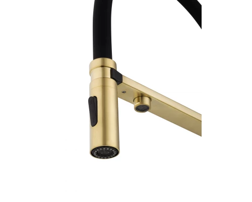 Смеситель для кухни с гибким изливом и подключением фильтра WONZON & WOGHAND, Брашированное золото (WW-88458009-BG)