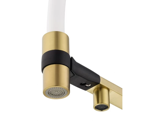 Смеситель для кухни с гибким изливом и подключением фильтра WONZON & WOGHAND, Брашированное золото (WW-88458012-BG（MW))