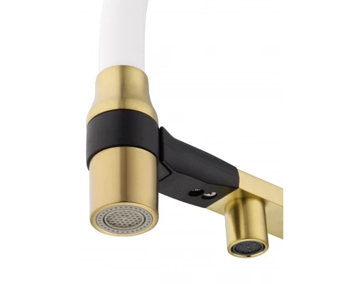 Смеситель для кухни с гибким изливом и подключением фильтра WONZON & WOGHAND, Брашированное золото (WW-88458013-BG(MW))