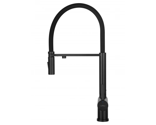 Смеситель для кухни с гибким изливом и подключением фильтра WONZON & WOGHAND, Черный матовый (WW-88458009-MB)