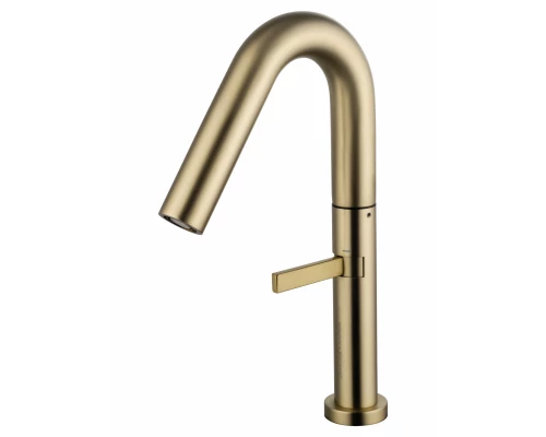 Смеситель для раковины высокий WONZON & WOGHAND, Брашированное золото (WW-6068-BG)