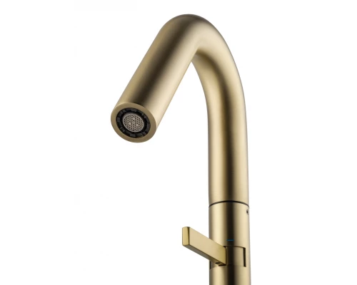 Смеситель для раковины высокий WONZON & WOGHAND, Брашированное золото (WW-6068-BG)