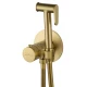 Смеситель с гигиеническим душем и термостатом встраиваемый WONZON & WOGHAND, Брашированное золото (WW-88829909-BG)