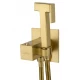 Смеситель с гигиеническим душем и термостатом встраиваемый WONZON & WOGHAND, Брашированное золото (WW-88829910-BG)