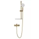 Смеситель для ванны с душевым гарнитуром WONZON & WOGHAND ALFA, Брашированное золото (WW-AE3201-BG)