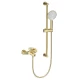 Смеситель для ванны с душевым гарнитуром WONZON & WOGHAND, Брашированное золото (WW-C2501-BG)