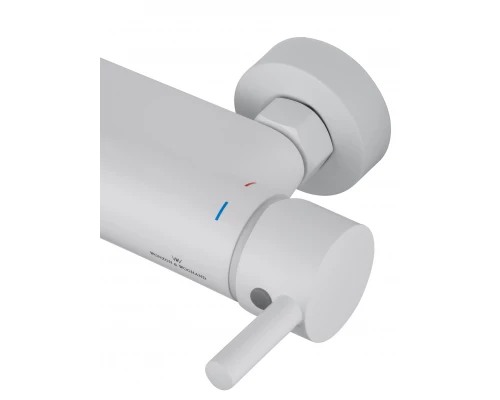 Смеситель для душа с встроенным изливом WONZON & WOGHAND MUSE Corno, Белый матовый (WW-A30902-MW)