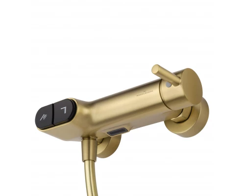Смеситель для душа с встроенным изливом WONZON & WOGHAND MUSE Corno, Брашированное золото (WW-A30902-BG)