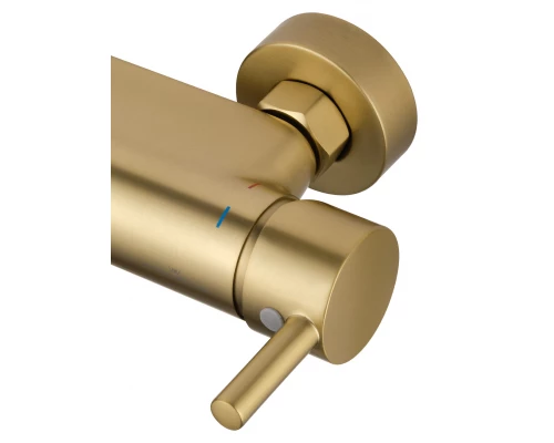 Смеситель для душа с встроенным изливом WONZON & WOGHAND MUSE Corno, Брашированное золото (WW-A30902-BG)