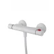 Смеситель для душа с термостатом WONZON & WOGHAND INN 5, Белый матовый (WW-B2005-A-MW)
