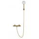 Смеситель для душа с термостатом WONZON & WOGHAND INN 5, Брашированное золото (WW-B2005-A-BG)