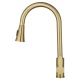 Смеситель для кухни с выдвижным изливом WONZON & WOGHAND, Брашированное золото (WW-121E201L-BG)