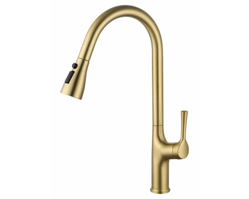 Смеситель для кухни с выдвижным изливом WONZON & WOGHAND, Брашированное золото (WW-AE54123-BG)