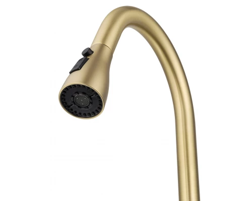 Смеситель для кухни с выдвижным изливом WONZON & WOGHAND, Брашированное золото (WW-AE54123-BG)