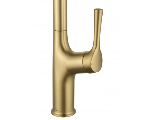 Смеситель для кухни с выдвижным изливом WONZON & WOGHAND, Брашированное золото (WW-AE54123-BG)