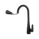 Смеситель для кухни с выдвижным изливом WONZON & WOGHAND, Черный матовый (WW-121E201B-MB)