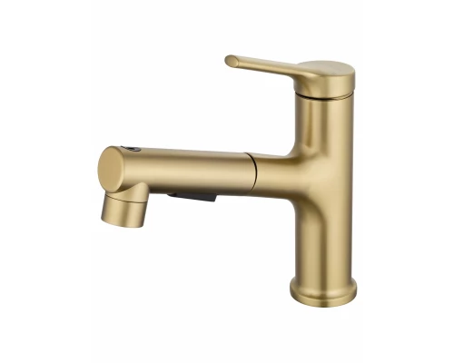 Смеситель для раковины с выдвижным изливом WONZON & WOGHAND, Брашированное золото (WW-A40862-BG)