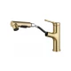 Смеситель для раковины с выдвижным изливом WONZON & WOGHAND, Брашированное золото (WW-A40862-BG)