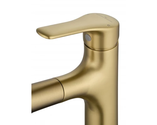 Смеситель для раковины с выдвижным изливом WONZON & WOGHAND, Брашированное золото (WW-AE4151-BG)