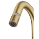 Смеситель для раковины с выдвижным изливом WONZON & WOGHAND, Брашированное золото (WW-FE01L212-BG)