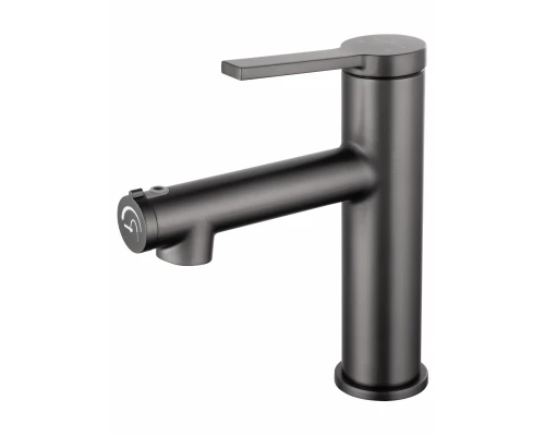 Смеситель для раковины с функцией полоскания WONZON & WOGHAND, Темный графит (WW-H1017-BGG)