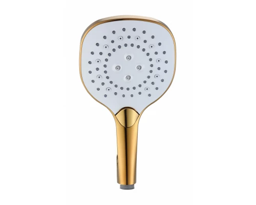 Душевая лейка WONZON & WOGHAND, Темное золото (WW-981358-DG)