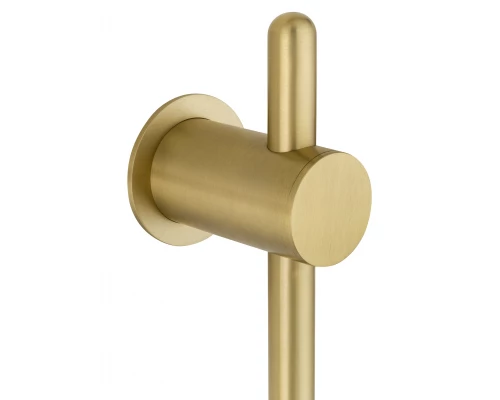 Полотенцесушитель электрический встраиваемый WONZON & WOGHAND LEIPZIG, Брашированное золото (WW-AL3621-BG)