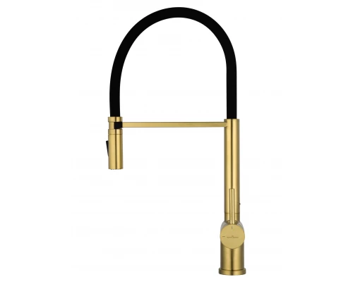 Смеситель для кухни с гибким изливом WONZON & WOGHAND, Брашированное золото (WW-88438003-BG)