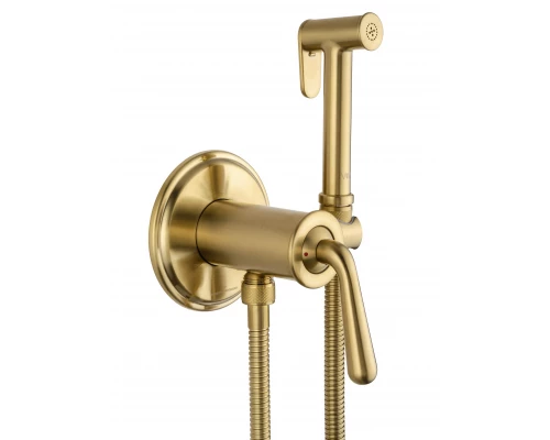 Смеситель с гигиеническим душем встраиваемый WONZON & WOGHAND STEAM, Брашированное золото (WW-88829008-BG)