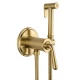 Смеситель с гигиеническим душем встраиваемый WONZON & WOGHAND STEAM, Брашированное золото (WW-88829008-BG)