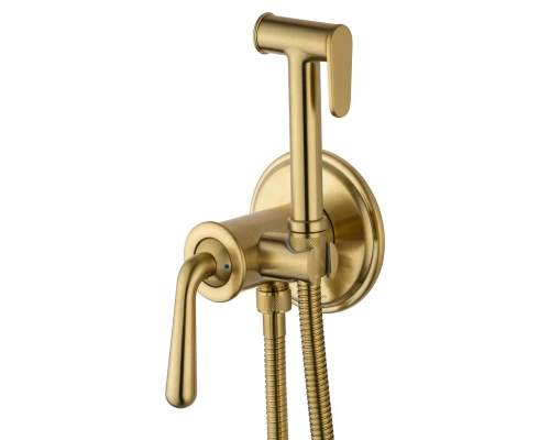 Смеситель с гигиеническим душем встраиваемый WONZON & WOGHAND STEAM, Брашированное золото (WW-88829008-BG)