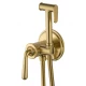 Смеситель с гигиеническим душем встраиваемый WONZON & WOGHAND STEAM, Брашированное золото (WW-88829008-BG)