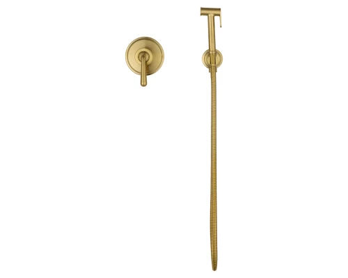 Смеситель с гигиеническим душем встраиваемый WONZON & WOGHAND STEAM, Брашированное золото (WW-88849008-BG)