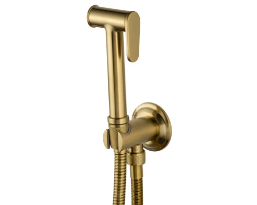 Смеситель с гигиеническим душем встраиваемый WONZON & WOGHAND STEAM, Брашированное золото (WW-88849008-BG)