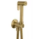 Смеситель с гигиеническим душем встраиваемый WONZON & WOGHAND STEAM, Брашированное золото (WW-88849008-BG)